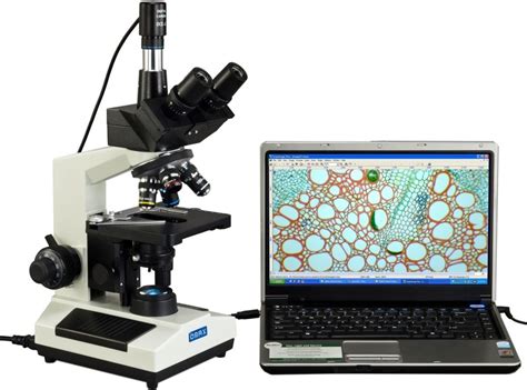 5 Best Microscopes .